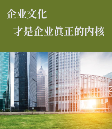 企业新媒体账号代运营：陕西银盛网络科技全平台操作流程详解